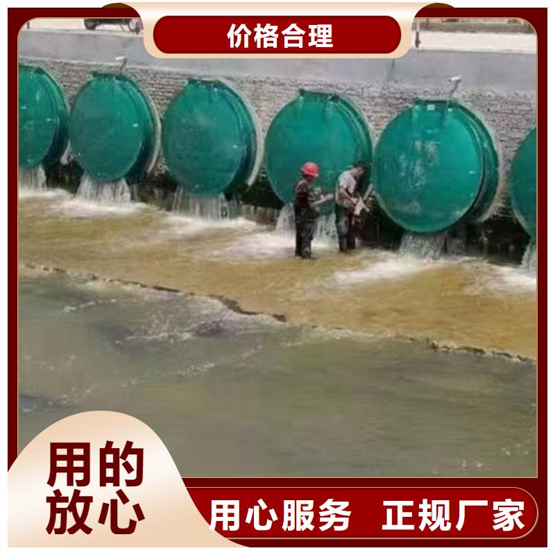 拍门球墨铸铁拍门厂家直销规格多样