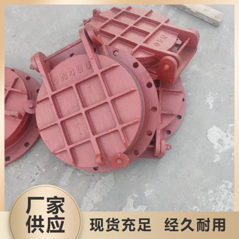 拍门球墨铸铁拍门质量为本