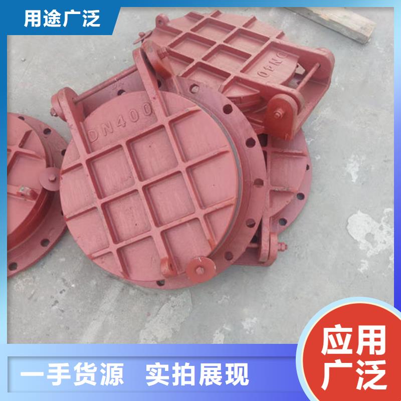 拍门不锈钢拍门产地采购