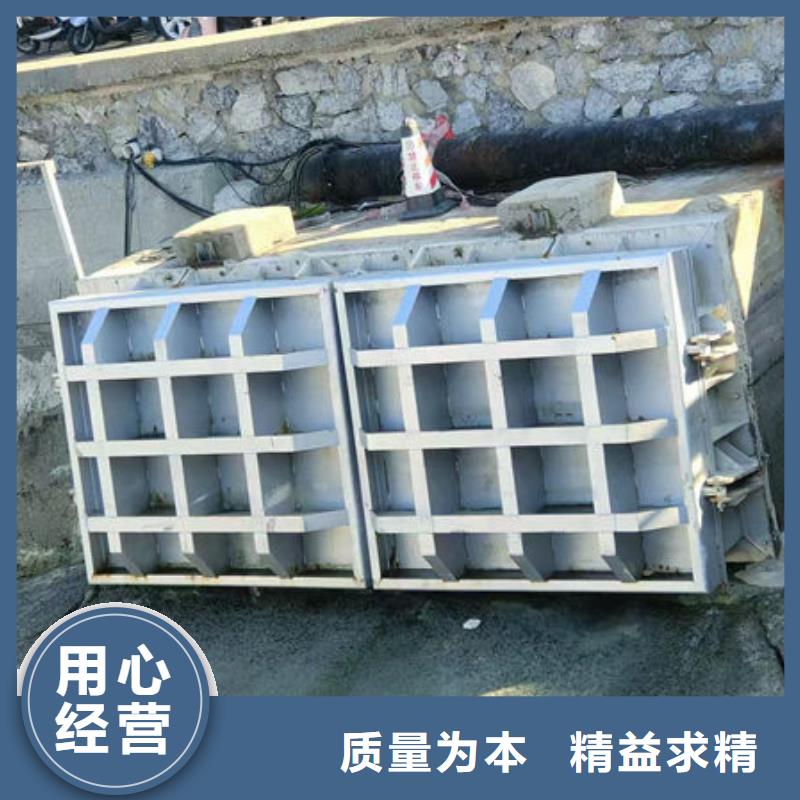 衡东 当地 拍门防倒灌拍门满足您多种采购需求