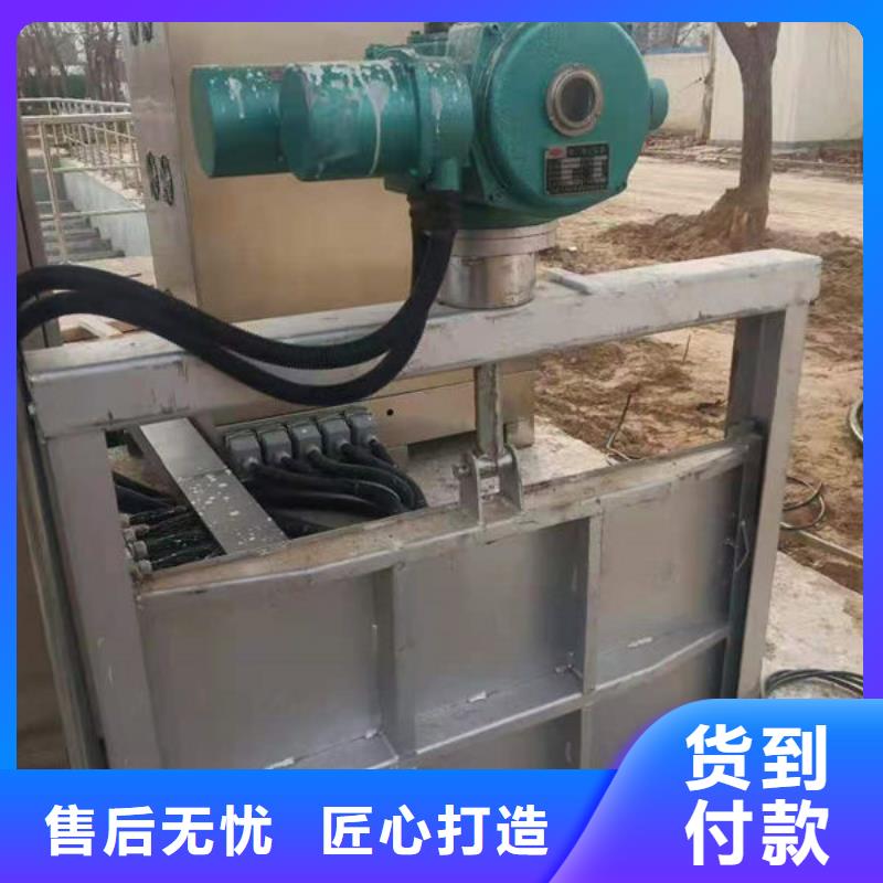 不锈钢闸门捞污珊精工细作品质优良