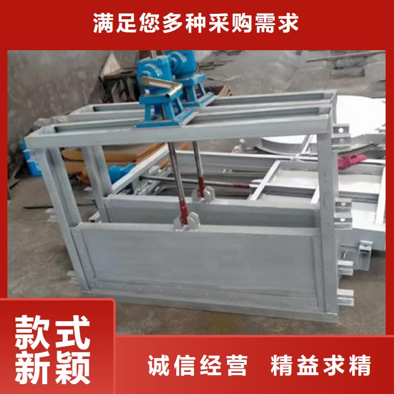 不锈钢闸门捞污珊精工细作品质优良