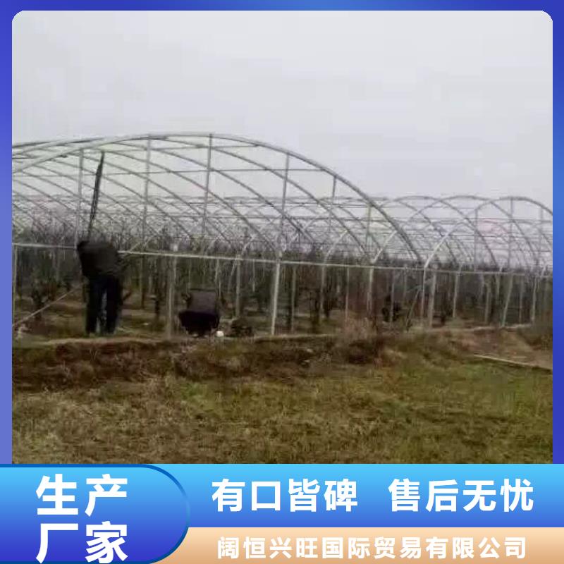 钢管无缝方矩管专心专注专业