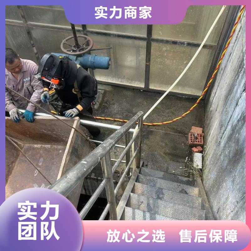 水下摄影行情