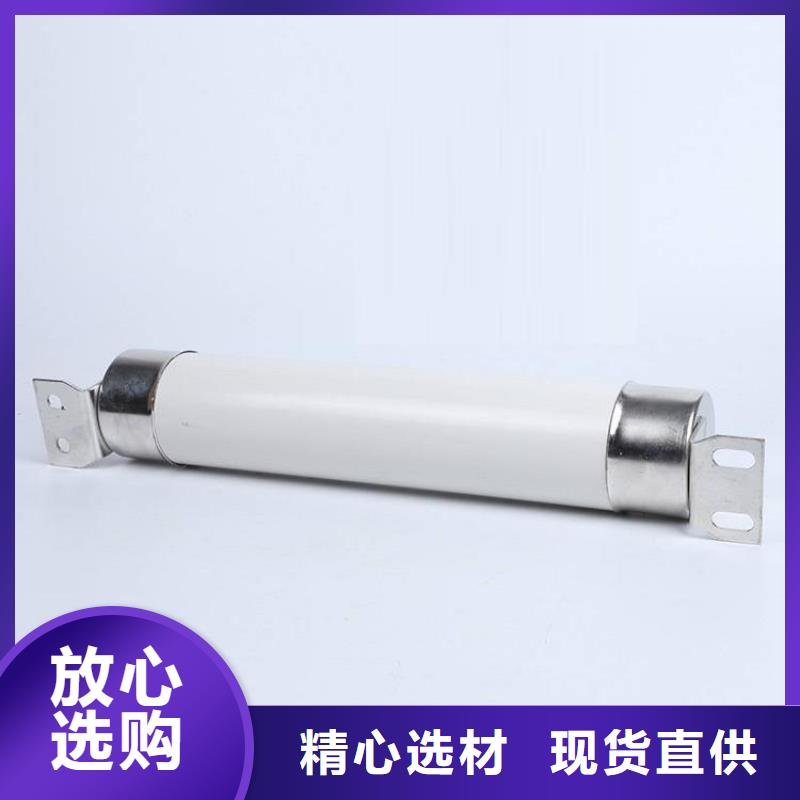 高压熔断器【XRNP-10KV高压限流熔断器】源厂定制