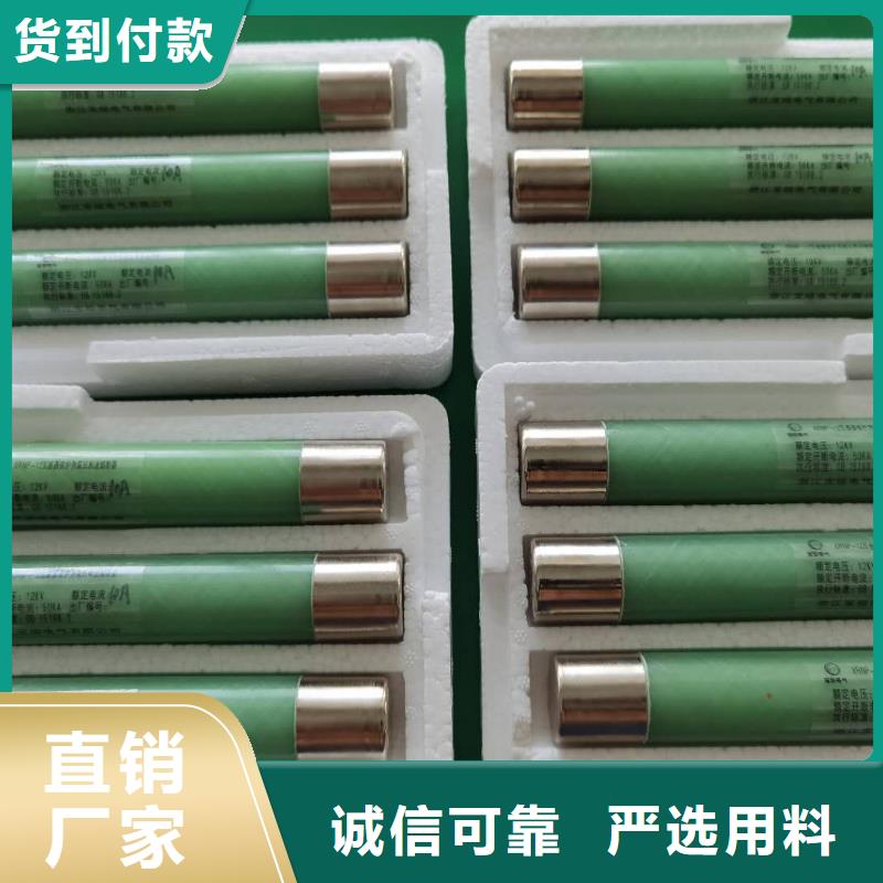 高压熔断器_XRNT-12KV熔断器快速生产