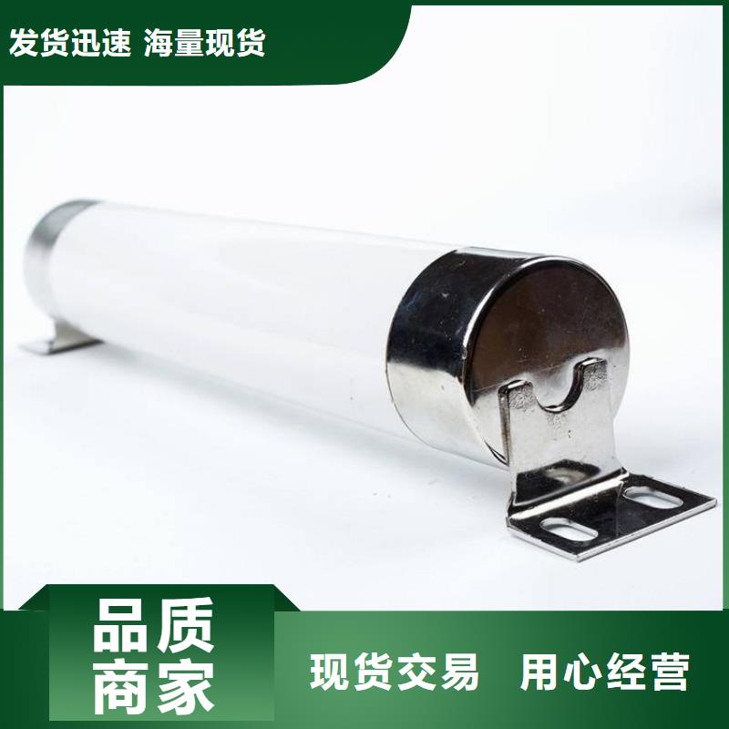 高压熔断器_XRNT-12KV熔断器主推产品