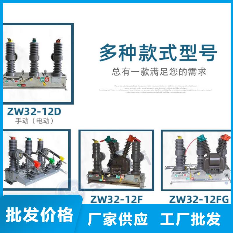 真空断路器高压限流熔断器专业生产厂家