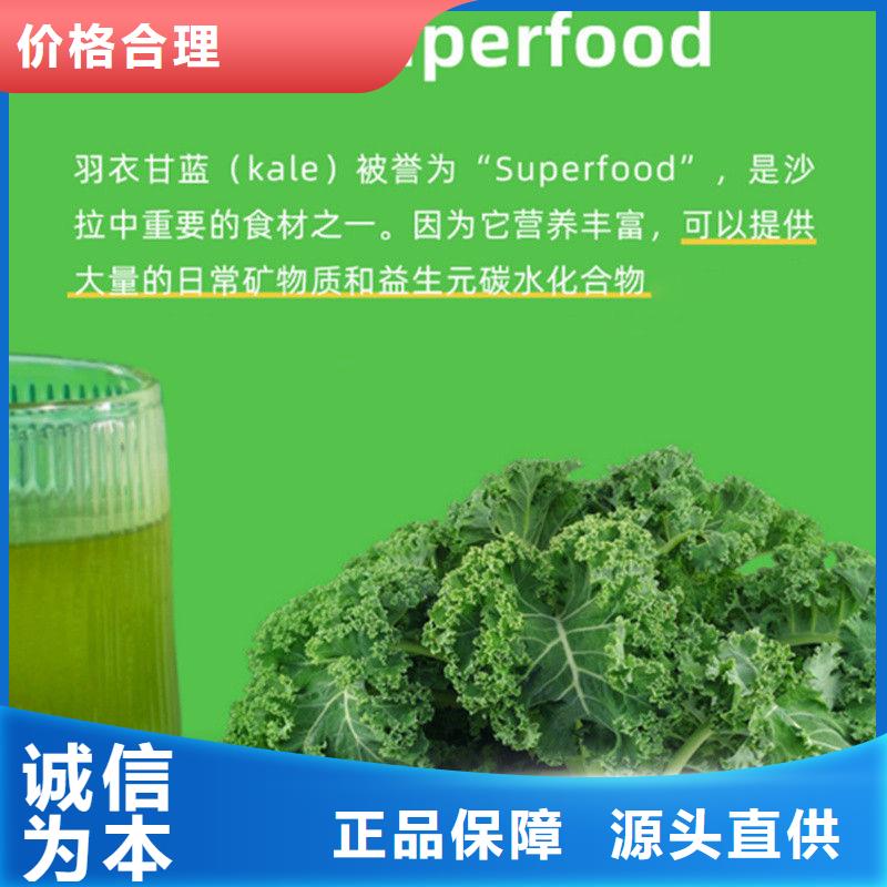 常年供应甘蓝粉-热销