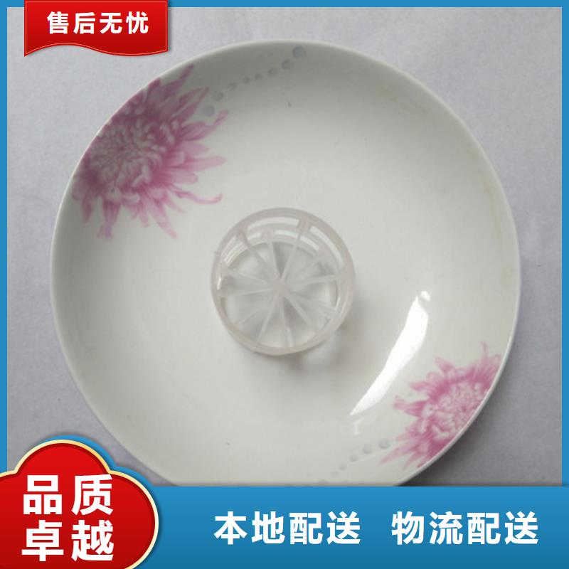 【鲍尔环填料】柱状活性炭品质商家