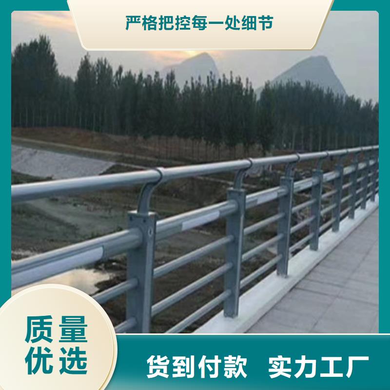 灯光护栏快速报价