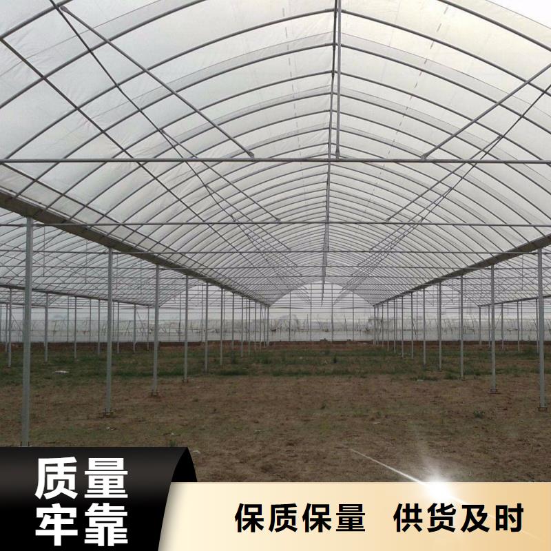 大棚管温室薄膜大棚实力工厂