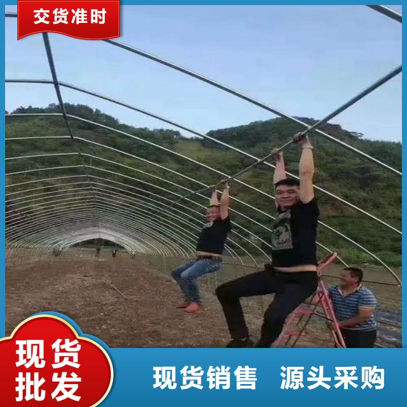 大棚管2_方管批发货源