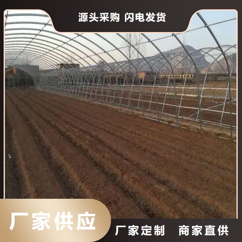 农业养殖大棚管视频-农业养殖大棚管|威海市|环翠|荣成|菏泽|淄博|济宁|青岛|泰安|东营