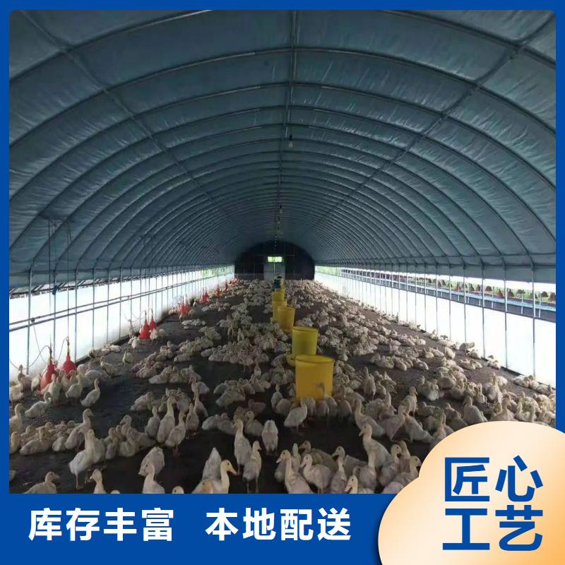 农业养殖大棚管视频-农业养殖大棚管|威海市|环翠|荣成|菏泽|淄博|济宁|青岛|泰安|东营