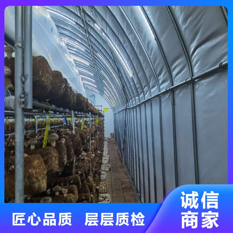大棚管2方矩管来电咨询