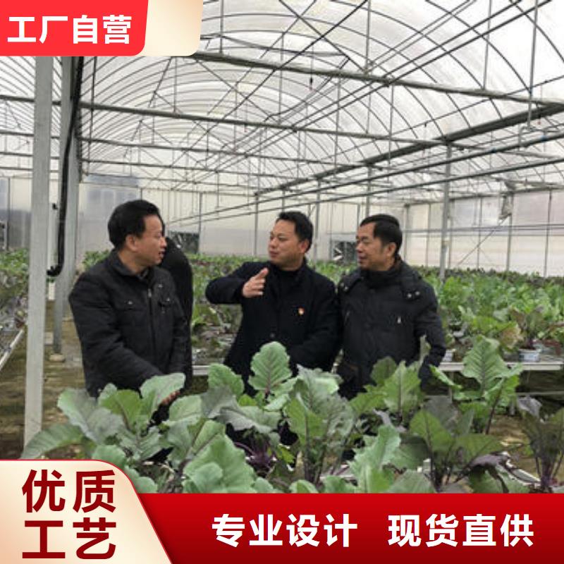 大棚管大棚管厂家优选好材铸造好品质