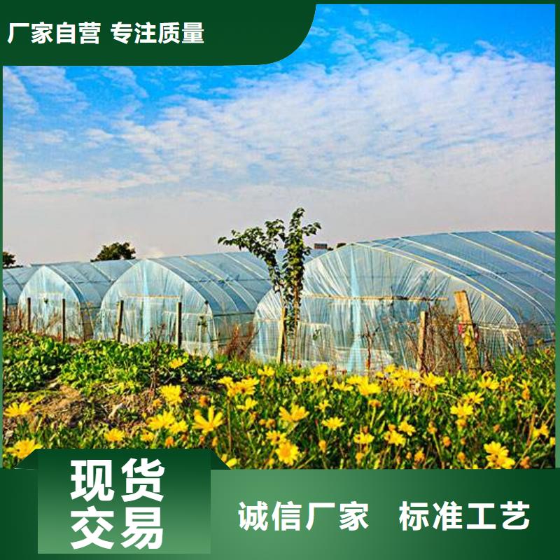 大棚管工艺层层把关