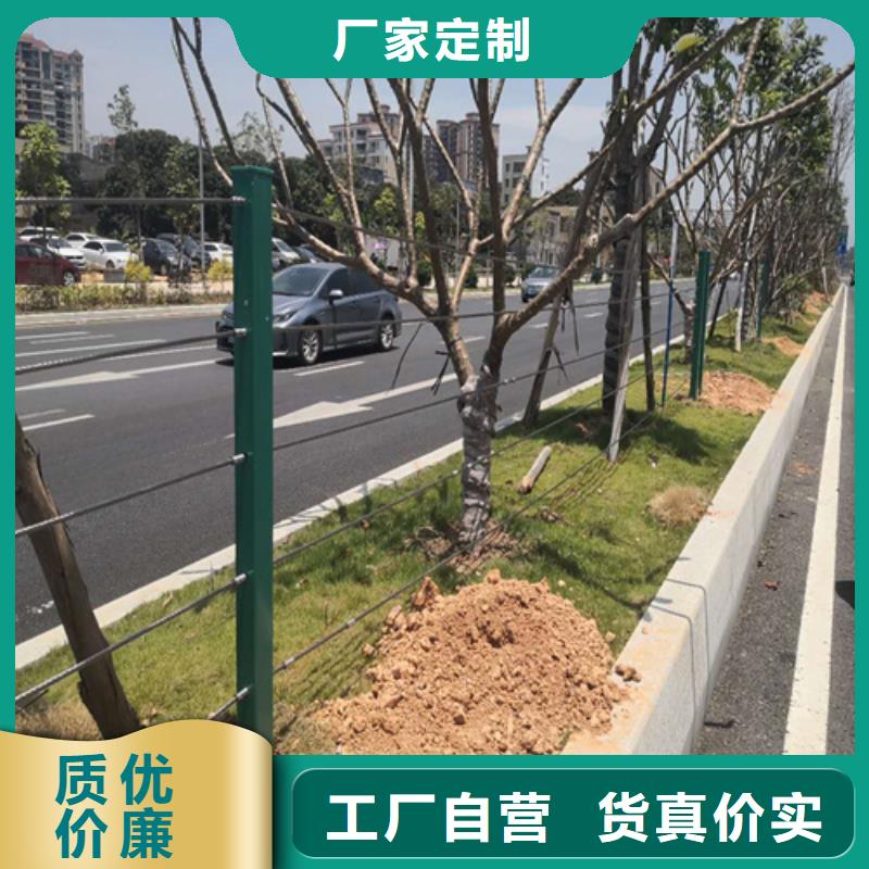 不锈钢绳索护栏图片-不锈钢绳索护栏图片实力厂家
