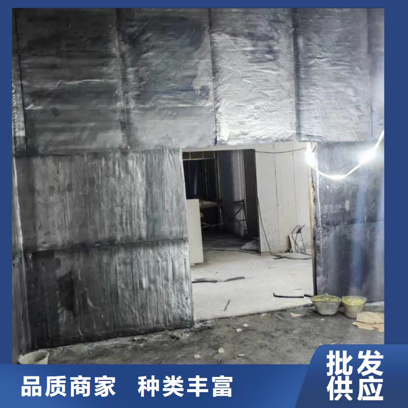 可定制的射线屏蔽工程 本地厂家