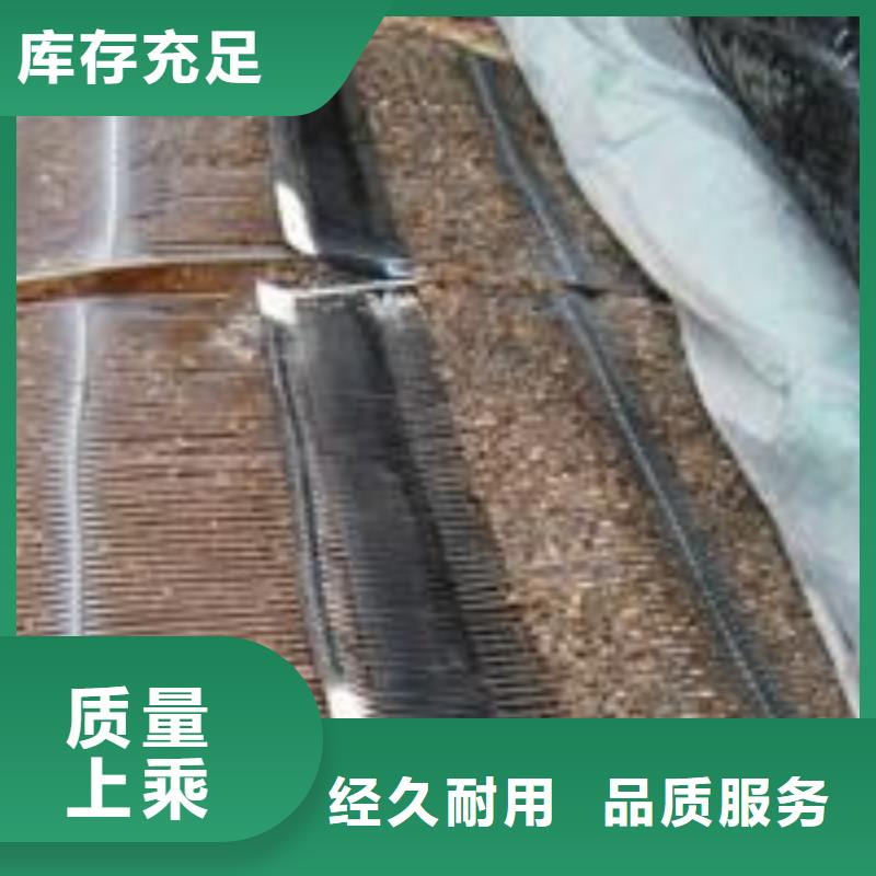 【单向塑料土工格栅】膨润土防水毯精心推荐