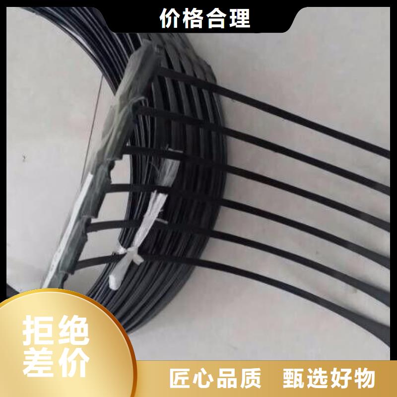 单向塑料土工格栅【三维土工网垫】品质优良