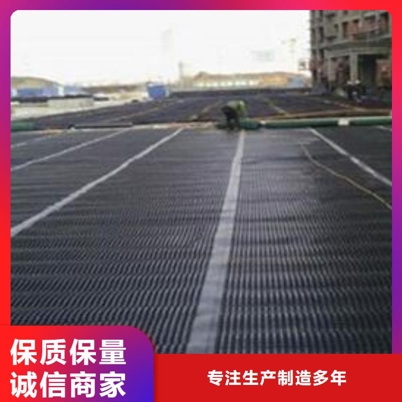 双向塑料土工格栅防渗土工膜把实惠留给您