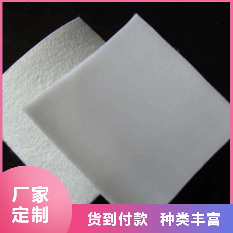 双向塑料土工格栅视频-双向塑料土工格栅-恒丰塑业(嘉峪关市分公司)服务区域酒泉|定西|金昌|平凉|庆阳|张掖