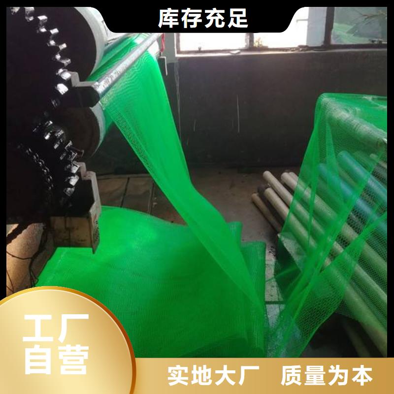 三维植被网土工格室N年生产经验