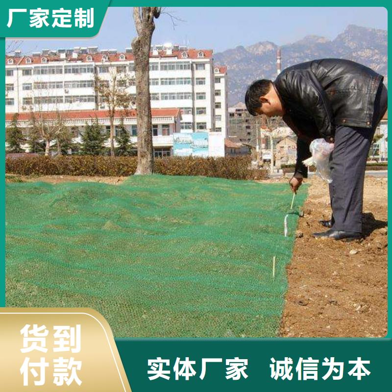 【三维植被网】塑料土工滤网现货满足大量采购