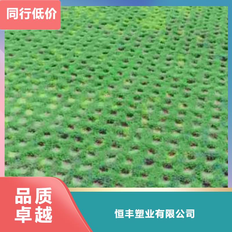 【植草格】,钢塑土工格栅生产安装