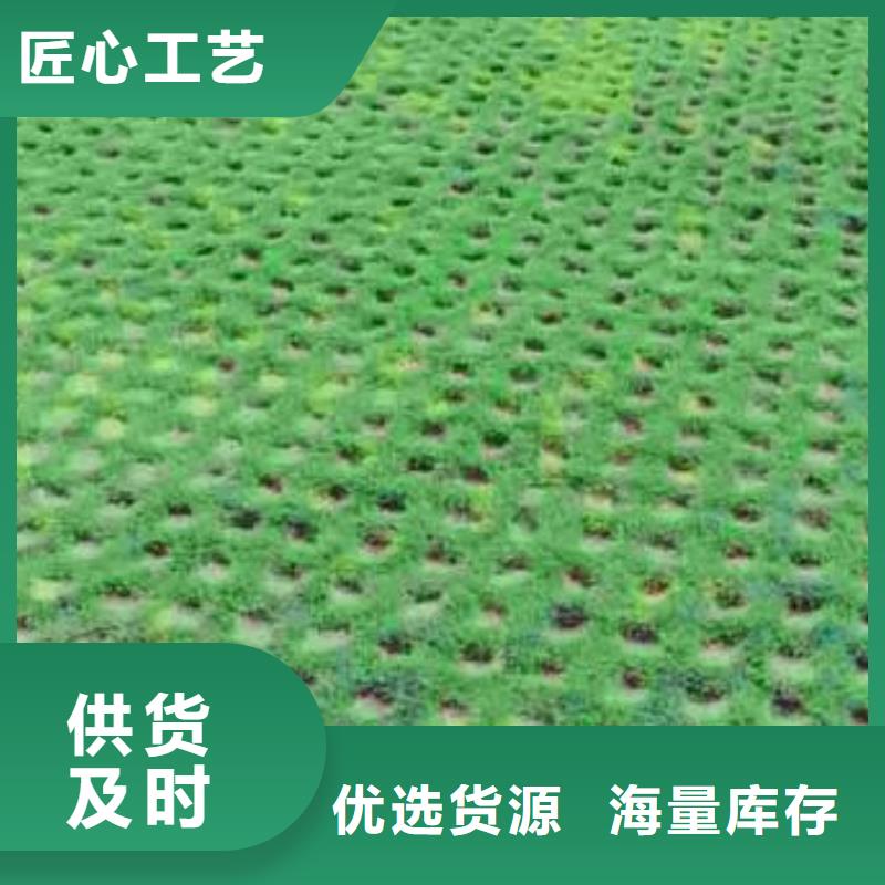 【植草格PP焊接土工格栅厂家精选】