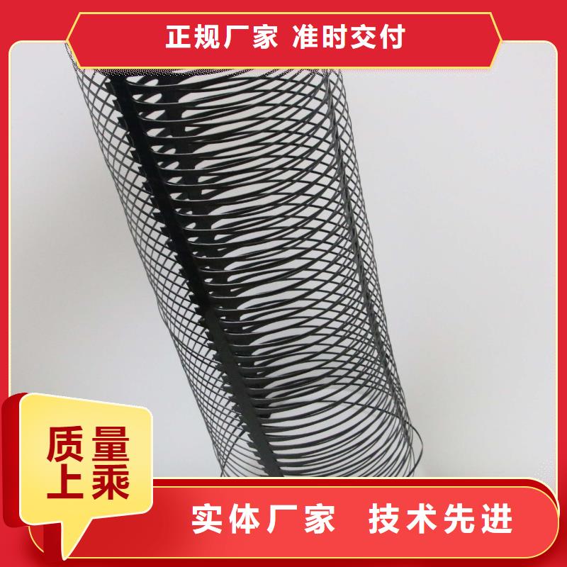 塑料土工格栅养殖膜有实力有经验