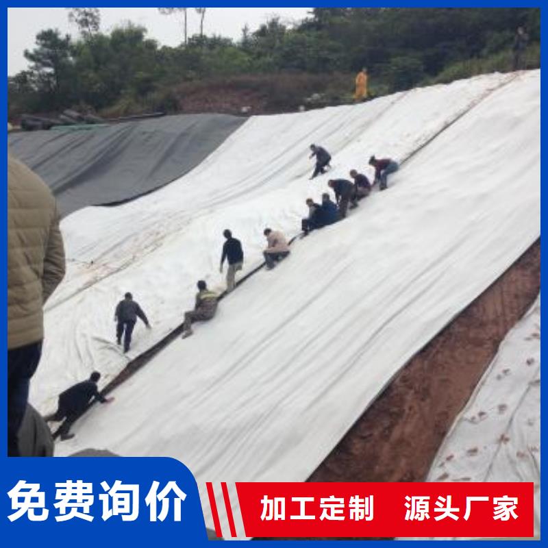 膨润土防水毯钢塑土工格栅严选用料