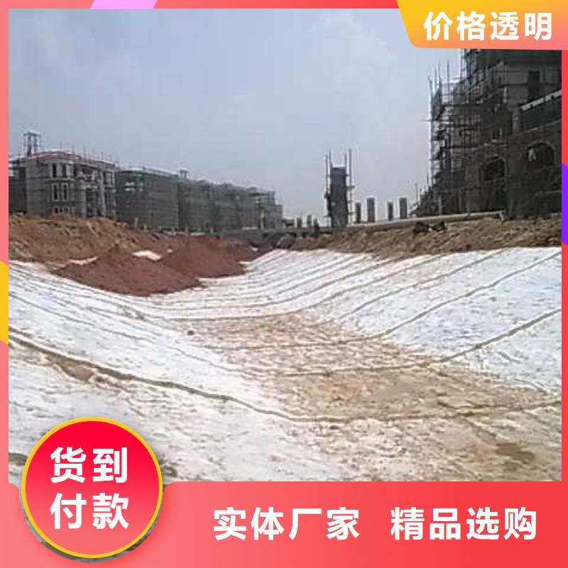 膨润土防水毯钢塑土工格栅严选用料