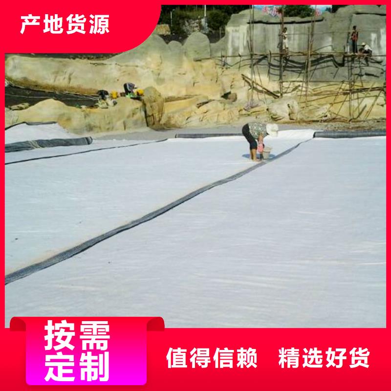 膨润土防水毯钢塑土工格栅严选用料