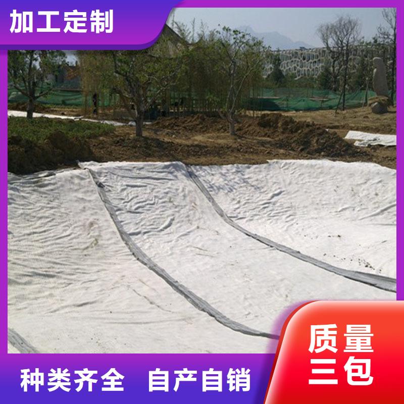 【膨润土防水毯】长丝土工布本地配送