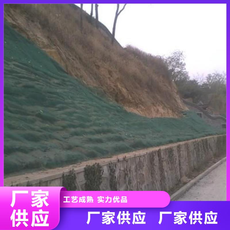 三维植被网钢塑土工格栅标准工艺