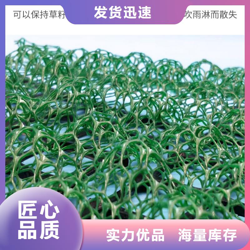 【三维植被网_三维土工网垫品牌专营】