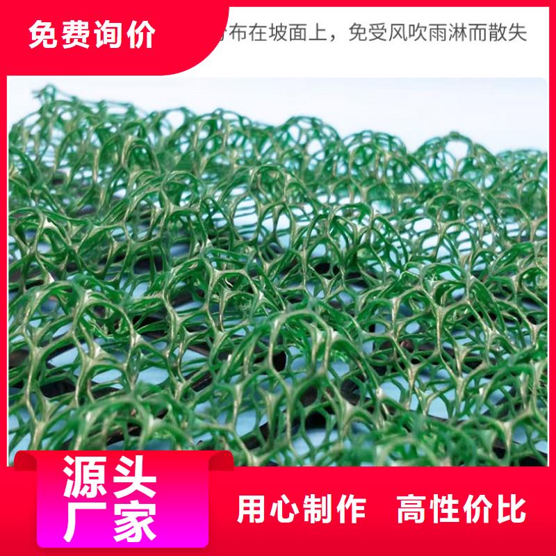 三维植被网【塑料土工格栅】厂家货源稳定