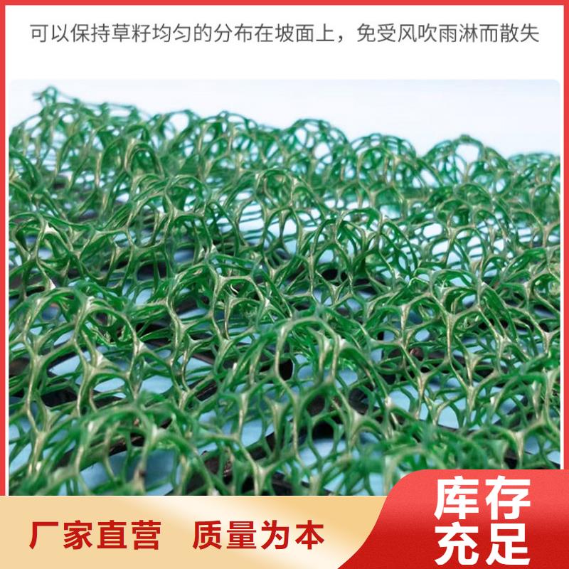 三维植被网-【玻纤土工格栅】专业品质