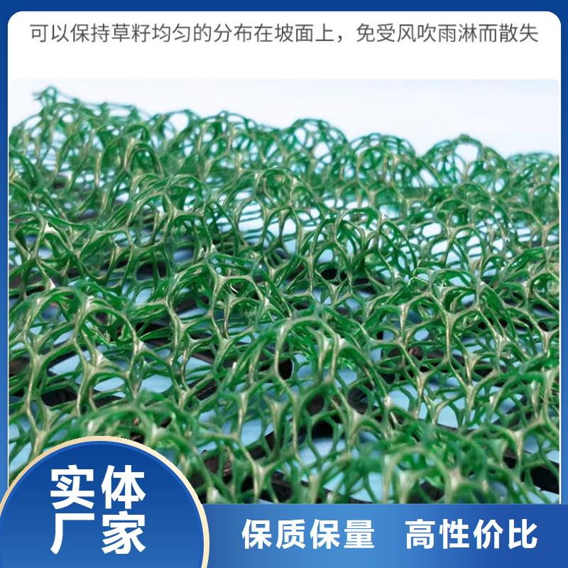 三维植被网玻纤土工格栅发货及时