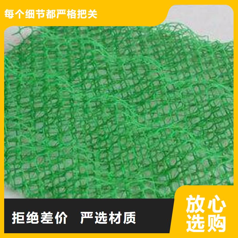 三维植被网,HDPE土工膜专业品质