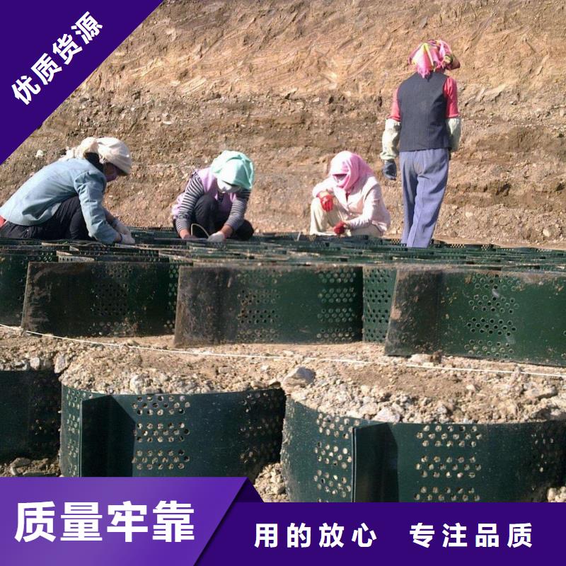 土工格室-凸结点钢塑土工格栅制造生产销售