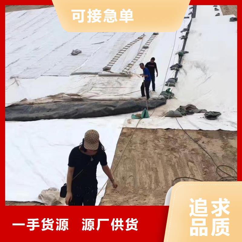 三维复合排水网_复合土工膜厂家规格全