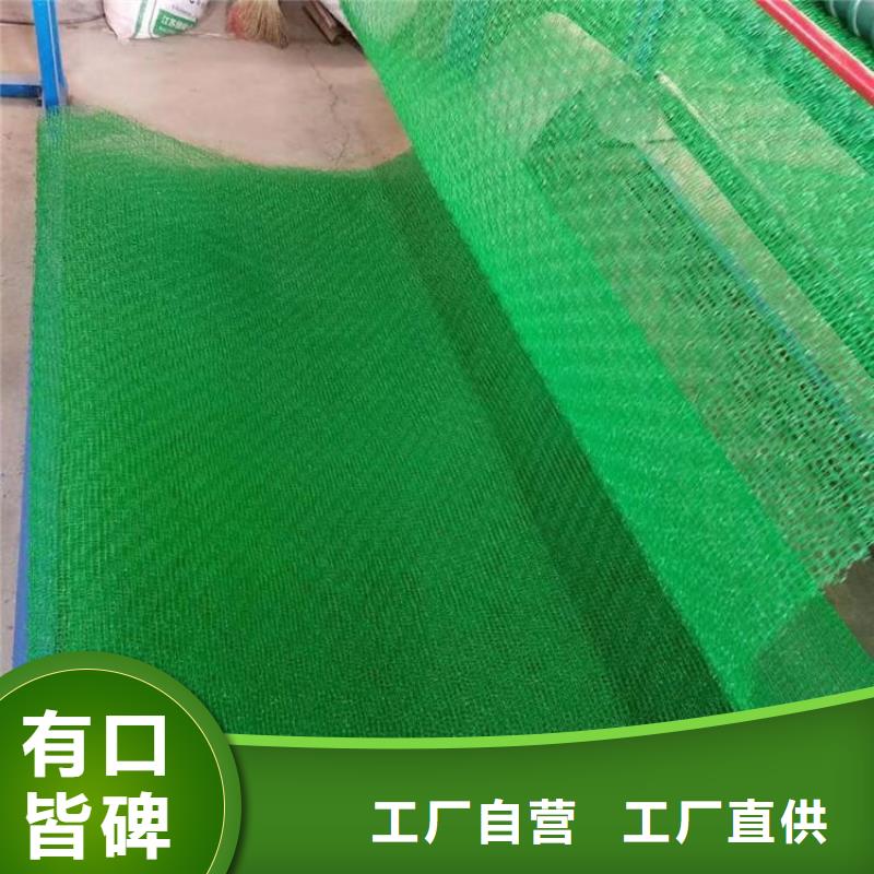 三维植被网单向塑料格栅源厂直接供货