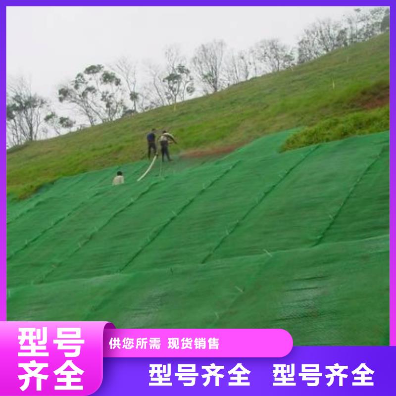 三维植被网钢塑土工格栅性价比高