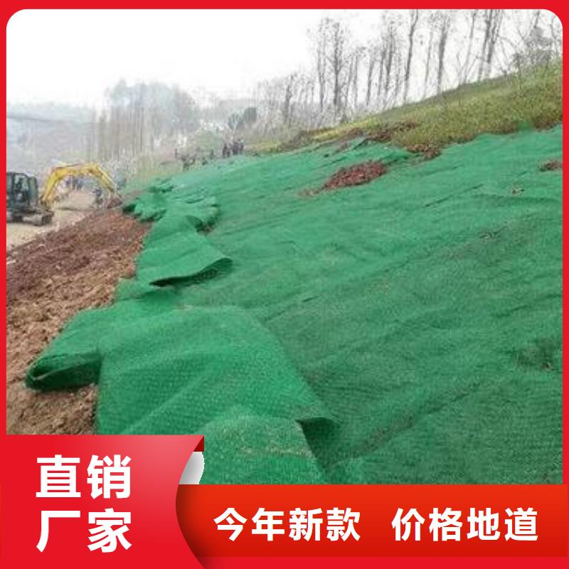 三维植被网_双向塑料土工格栅品质无所畏惧