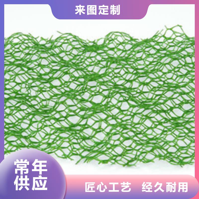 【三维植被网】双向塑料格栅经验丰富质量放心