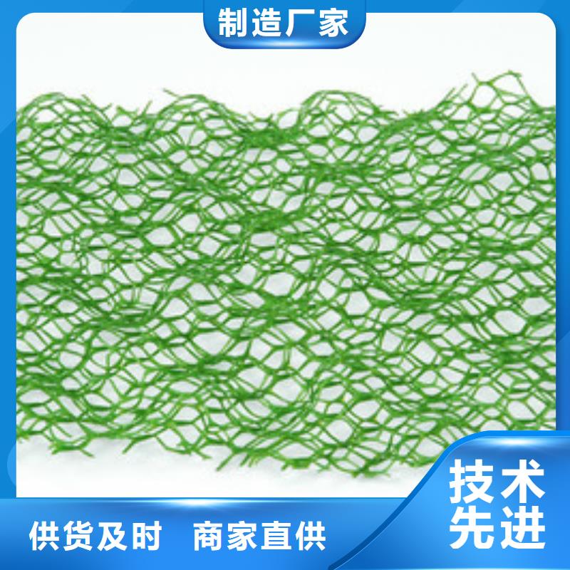 三维植被网单向塑料格栅现货销售